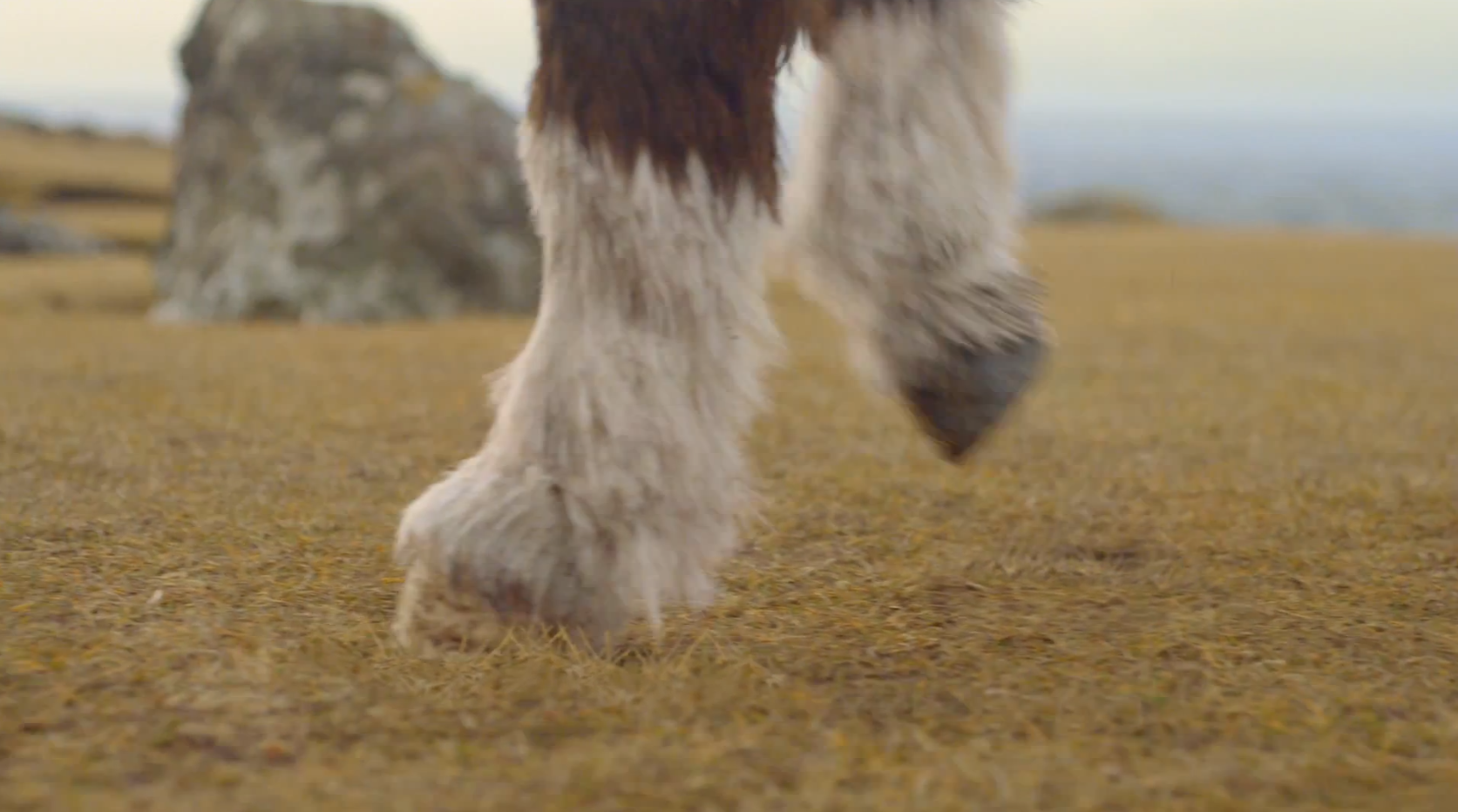 Shetlandsponny, VideoExtra, Video, Michael Jackson